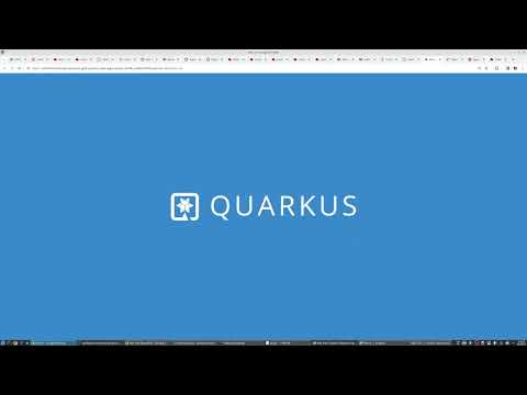 The Developer – working in the IDP