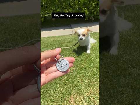Pet Tag unboxing!