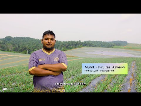 FarmByte Plants the Seeds of AI-Driven Agriculture in Malaysia | Amazon Web Services