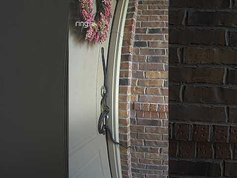 Would you open the door?