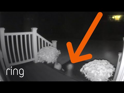 An Unknown Object Floating Around a Ring Video Doorbell Set off a Motion Alert | RingTV