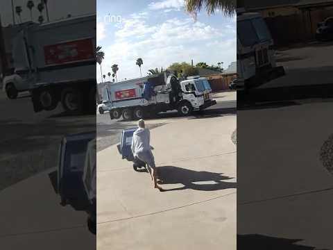 He was NOT about to miss another trash day!