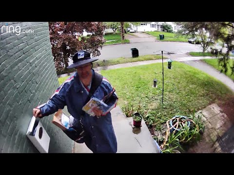 This Mailman Built a Unique Relationship With Hulk the Dog | RingTV