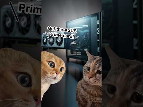 😸What a cat-astrophe…