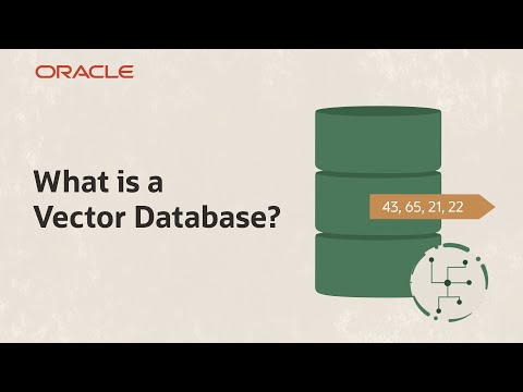 What Is a Vector Database and How Can It Help Meet Business Needs