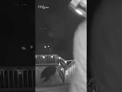 This man had a close call with a bear on his deck!