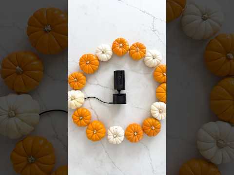 How long is too long to keep your Halloween decorations up?