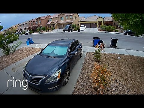 A Good Neighbor Cleans up Next Door’s Trash After Their Can Was Knocked Over | RingTV