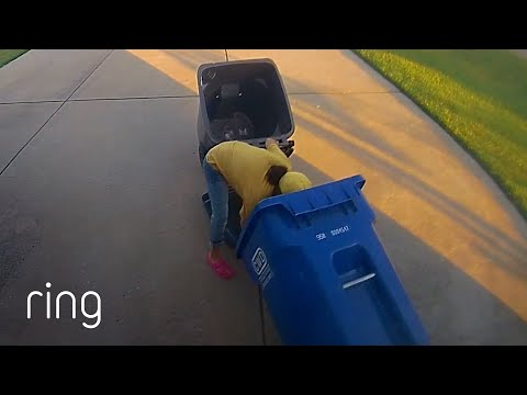 Have You Ever Fallen Into Your Trash Bin? | RingTV