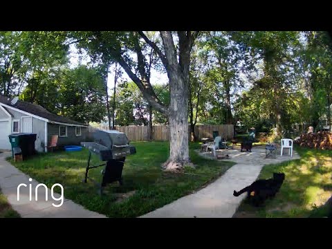 This is What Happens When You Forget to Put Your Grill Away | RingTV