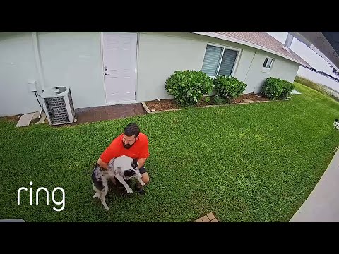 Escape Artist Dog Met Her Match When She Tried to Bolt Outside | RingTV