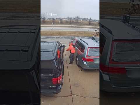 Not only did their catalytic converter stay intact, Ring also recorded the stranger’s license plates