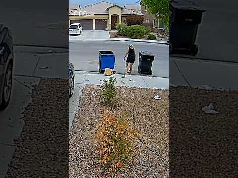 Kind woman cleans up neighbor’s trash
