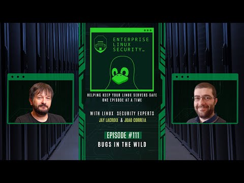 Enterprise Linux Security Episode 111 – Bugs in the Wild