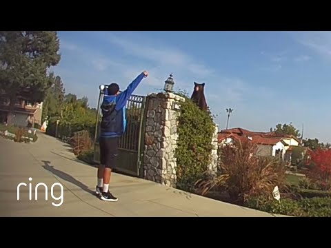 Man Speaks Up to Protect Amazon Driver From Bear | RingTV