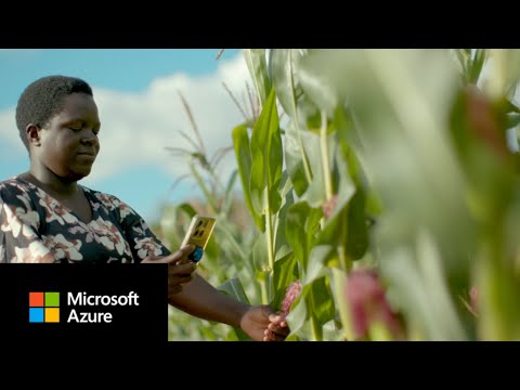 Opportunity International works to end farmer poverty in Malawi with AI