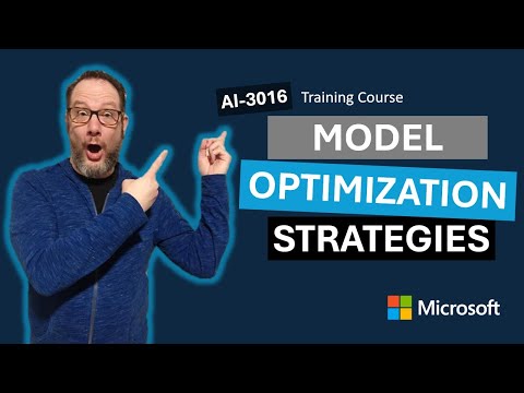 Compare model optimization strategies AI-3016