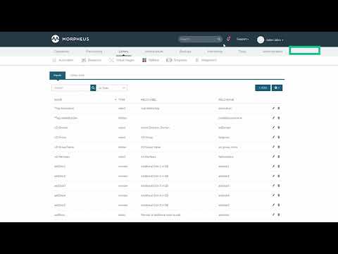 Morpheus Minute Inputs & Option Lists HPE