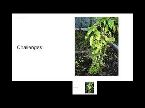 Integration testing with Bazel w/Dropbox