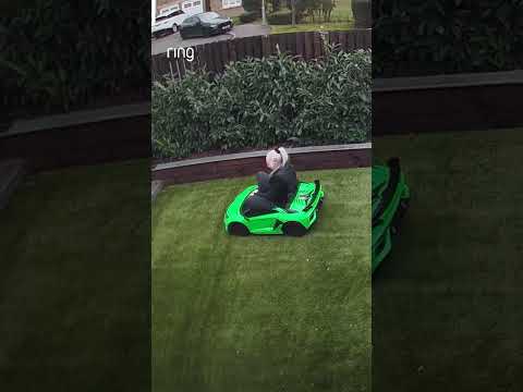 Probably needed a hug, but got a mini Lamborghini instead. 🏎️