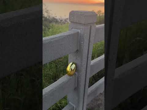The egg was secured. 🔐🐣 #ringdoorbell #easter #shorts