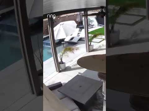 If Monday were a video…