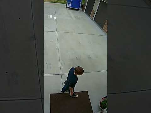 Phoebe successfully deterred individuals looking around her home! #shorts