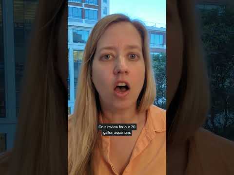 Sentiment analysis with LLMs/BQML over your data