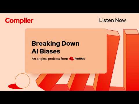 Breaking Down AI Biases