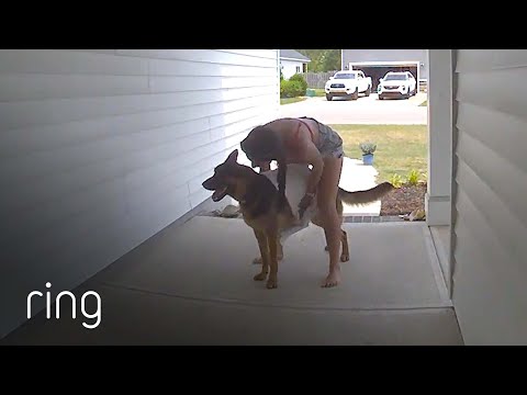 German Shepherd Hates Baths… But LOVES This Part | RingTV