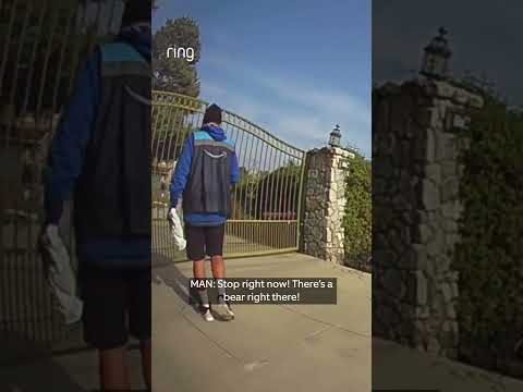 This @Amazon delivery driver was confronted by a bear and he knew exactly what to do next.