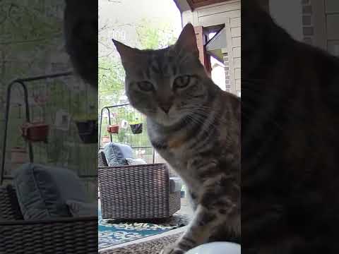 It’s safe to say, Stormy was not ready to come in!