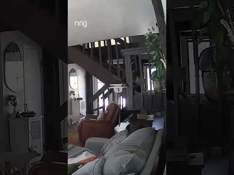 Large Earthquake Rattles Home With Pets Inside!