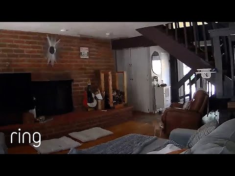 Large Earthquake Rattles Home With Pets Inside! | RingTV