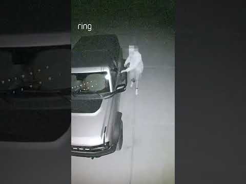 A stranger tried to break into Craig’s car at 3:00 AM. Thankfully, the Floodlight sent them running.