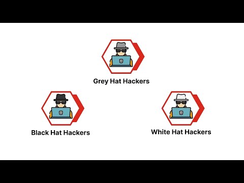 What is Hacking? Types of Hacking & More