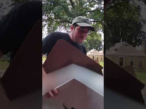 The box had one job… and chose to retire the moment this neighbor opened his front door 😂