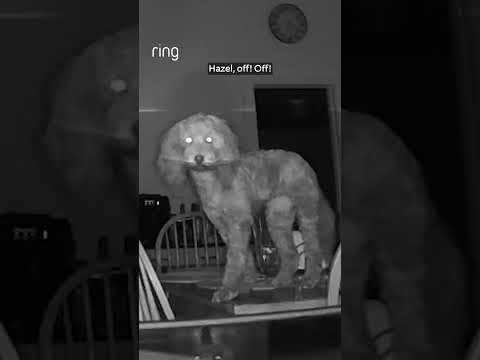 POV: your mom recieves a motion notification when you thought you were being smooth 😂