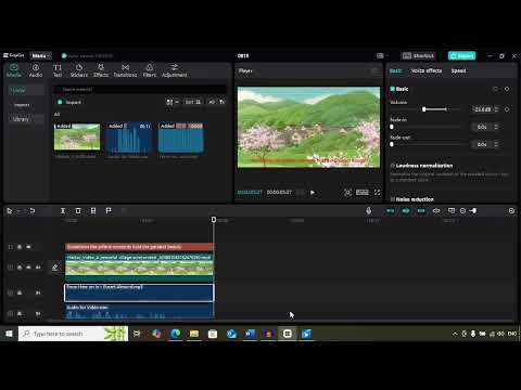 Mini Project 4: Give Your Video a Voice | Mini Project Four |