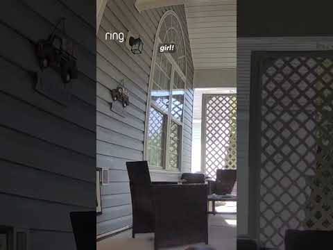 When your dog knows your voice, even through the Ring Doorbell 🥹🐶