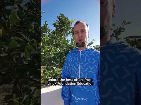 A message on Cyber Week from CNCF Ambassador Dmitry Shurupov, Co-Founder, Palark GmbH