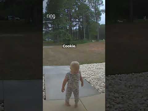 It’s National Cookie Day! What’s your favorite cookie? 🍪