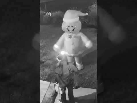 Nothing says ‘holiday cheer’ quite like a jump scare from your fiancé in a gingerbread man costume🎄