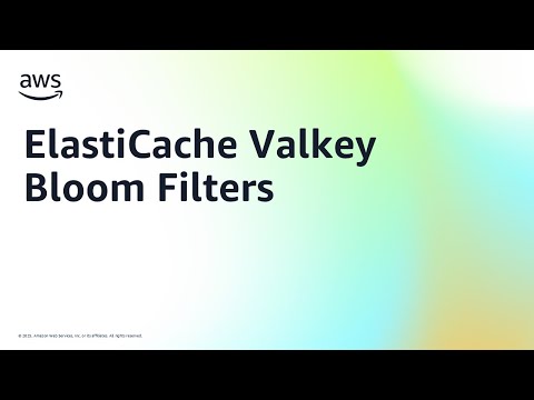 ElastiCache Valkey Bloom Filters | Amazon Web Services