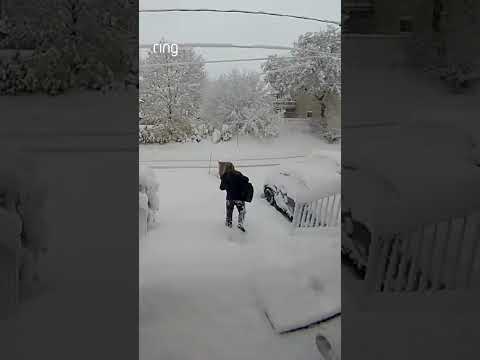 Walking in a winter wonderland ❄️