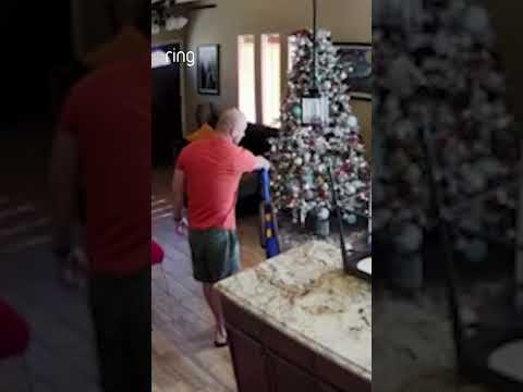 It wouldn’t be the holidays without a little chaos! Merry “Catmas” from Percy 🎄😹