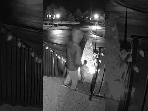 Boys walk outside for first snow, catch meteorite instead ☄️