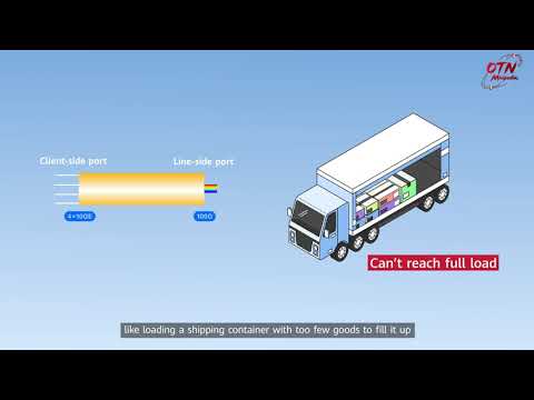 Optical Transmission Minipedia | Issue 11- OTN Technical Principles