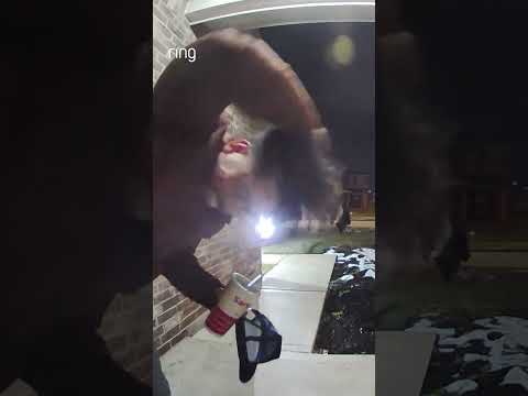 Maria brought her softball skills to the family snowball fight! ❄️