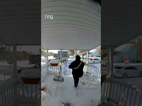 She’s fine, but the sandwich didn’t make it 🥪💔